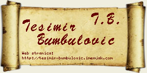 Tešimir Bumbulović vizit kartica